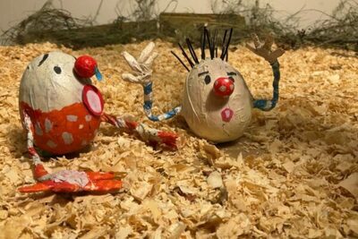 Xiaonan and the Hatching Chicken Factory